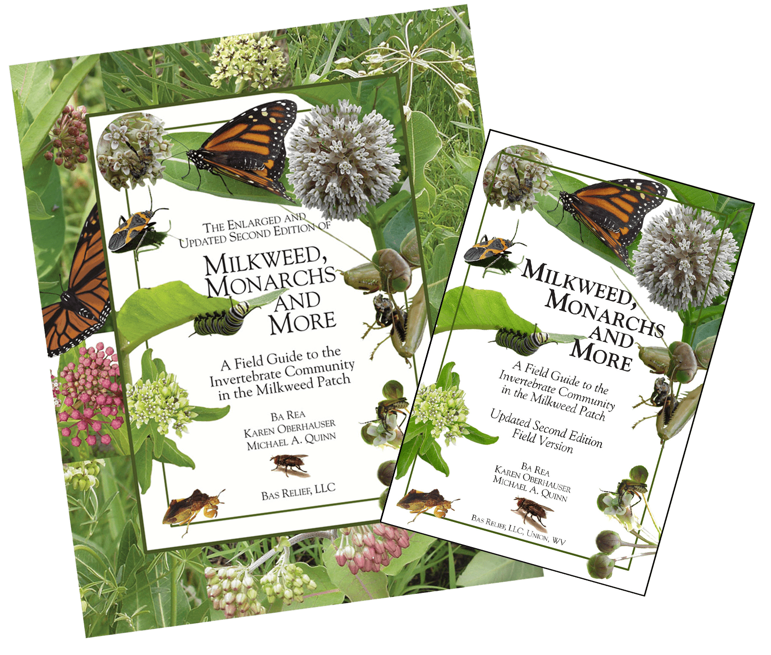 Milkweed, Monarchs and More