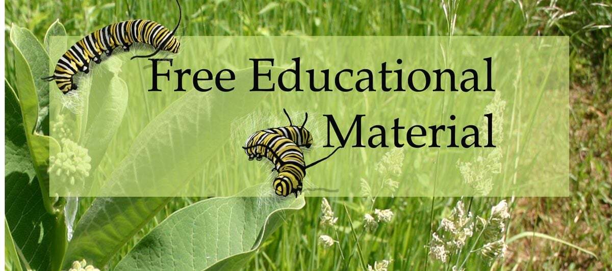 Free Educational Material